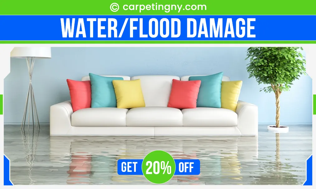 carpet cleaning in NY, carpet cleaning in new york, carpet cleaning NY, carpet cleaners in NY, carpet cleaners in new york, commercial carpet cleaning, commercial carpet cleaning in NY, NY rug cleaners, rug cleaning services in NY, same day carpet cleaning, same day rug cleaning