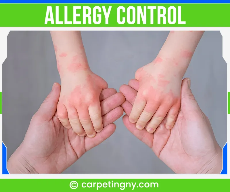 carpet cleaning in NY, carpet cleaning in new york, carpet cleaning NY, carpet cleaners in NY, carpet cleaners in new york, commercial carpet cleaning, commercial carpet cleaning in NY, NY rug cleaners, rug cleaning services in NY, same day carpet cleaning, same day rug cleaning