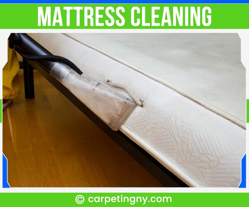 carpet cleaning in NY, carpet cleaning in new york, carpet cleaning NY, carpet cleaners in NY, carpet cleaners in new york, commercial carpet cleaning, commercial carpet cleaning in NY, NY rug cleaners, rug cleaning services in NY, same day carpet cleaning, same day rug cleaning